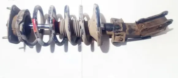 Front coil spring