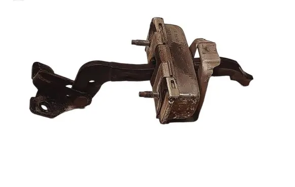 Rear door check strap stopper