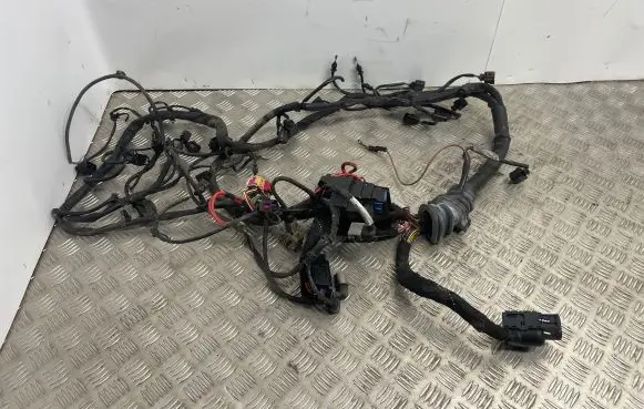 Audi A4 S4 B7 8E 8H Engine installation wiring loom 8E1971074CA