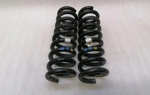 Maserati GranTurismo Rear shock absorber with coil spring 673004066