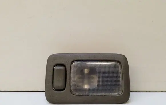 Nissan Murano Z50 Rear seat light 4NG