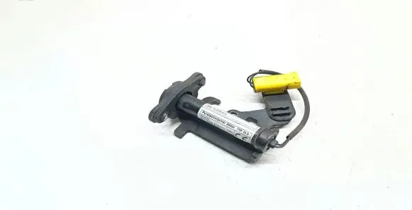 BMW X5 F15 Engine bonnet/hood hinges 7326019