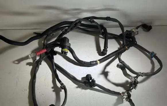 Engine installation wiring loom