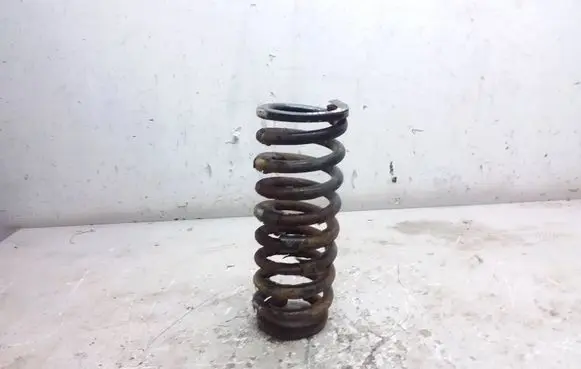 Rear coil spring