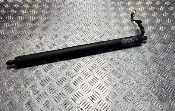 Ford Edge II Tailgate strut FT4B-R402A55-BA