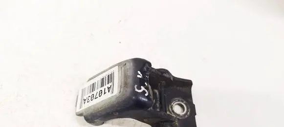 Rear door lower hinge