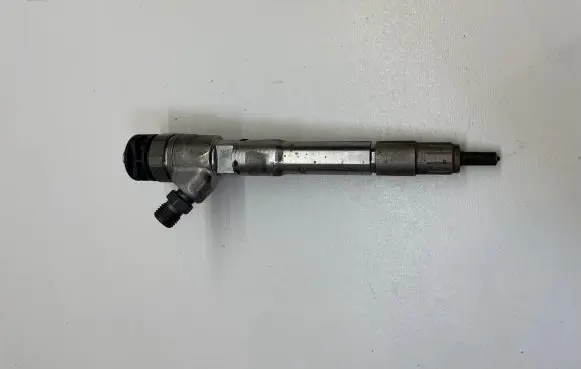 Renault Scenic IV - Grand scenic IV Fuel injector 0445110895 166003281R HMLGT3639R