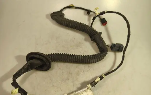 Front door wiring loom