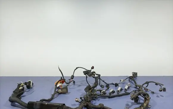 Volvo S90, V90 Other wiring loom 31499539