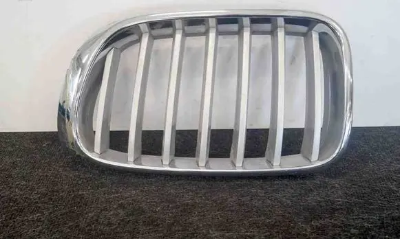 BMW X3 F25 Front grill 7210725