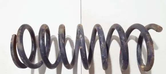 Toyota Picnic Rear coil spring 