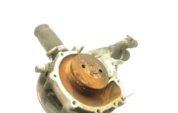 Mercedes-Benz W123 Water pump 1022011001