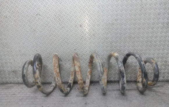 Volkswagen PASSAT B6 Rear coil spring