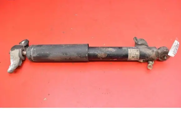 Opel Insignia A Rear shock absorber/damper 13319750