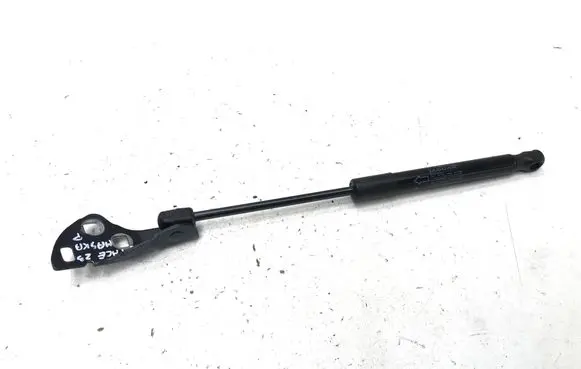 Front bonnet/hood damper/strut