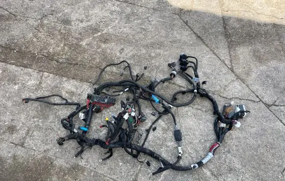 Renault Megane E-Tech Wiring harness 403883089R