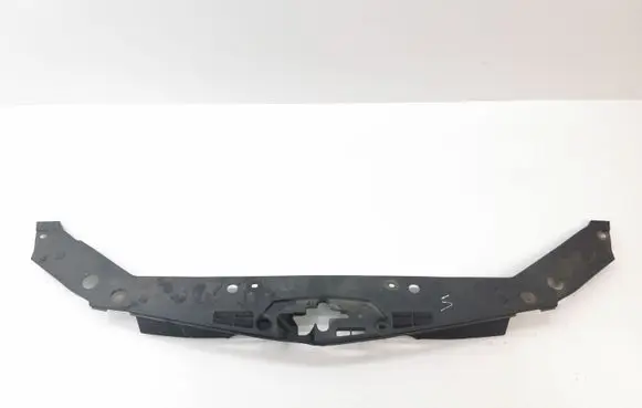 Engine bonnet/hood lock trim molding
