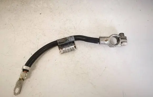 Mercedes-Benz B W245 Positive cable (battery) A1695406409