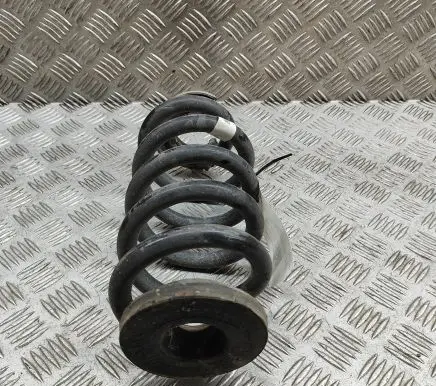 Skoda Enyaq iV Rear coil spring 1EA511103H
