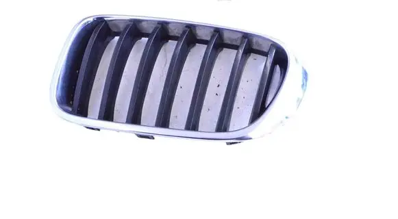 BMW X3 F25 Front bumper upper radiator grill 7338571