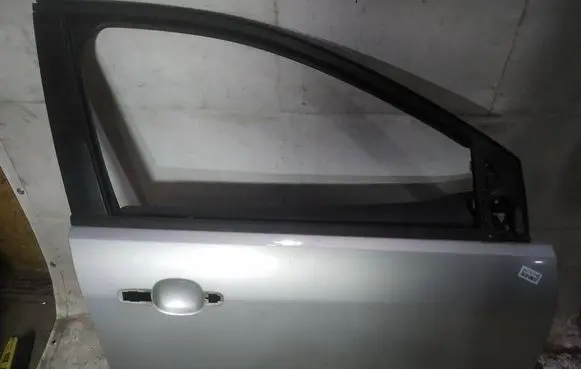 Ford Focus Front door pilkos