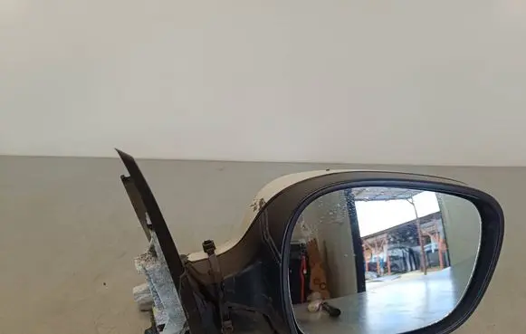 BMW X3 F25 Front door electric wing mirror E1021086