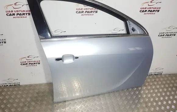 Opel Insignia A Front door
