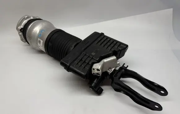 Porsche Panamera (976) Front air suspension shock absorber 976616038L