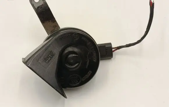 Horn signal