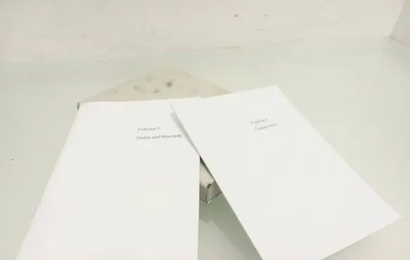 Polestar 2 User manual 