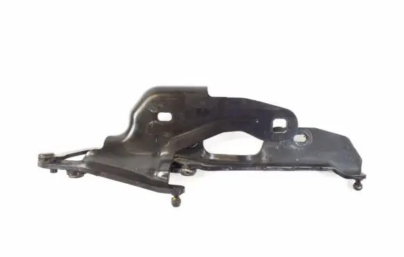 Tailgate/trunk/boot hinge