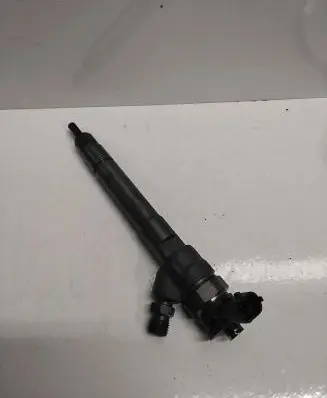 Renault Scenic III - Grand scenic III Fuel injector 0445110414