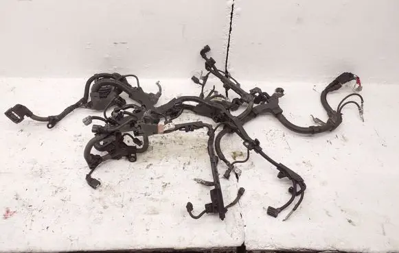 Engine installation wiring loom