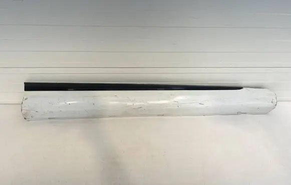 Ford Puma Front door trim (molding) L1TBS20306C