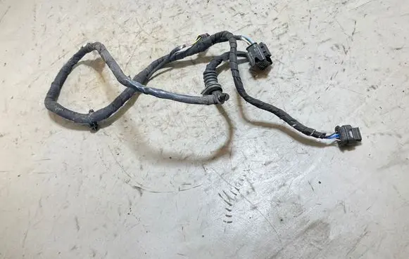 BMW X1 F48 F49 Other wiring loom 8800552