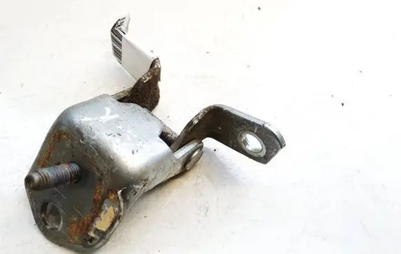 Rear door lower hinge