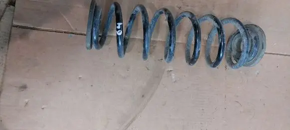 Volkswagen PASSAT B6 Rear coil spring