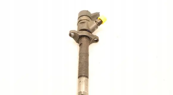 Citroen C4 I Fuel injector 0445110259