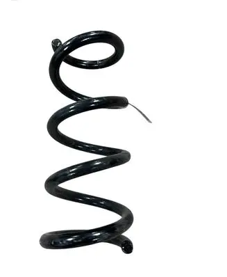 Ford Mustang VII Rear coil spring PR3C5560AB PR3C5560A 1232024