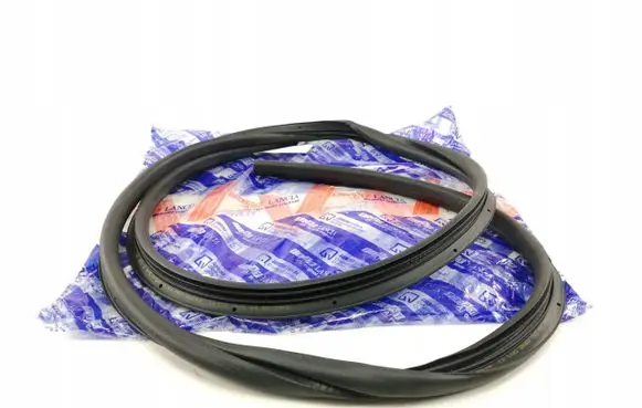 Fiat Punto (199) Rubber seal rear door 46479337