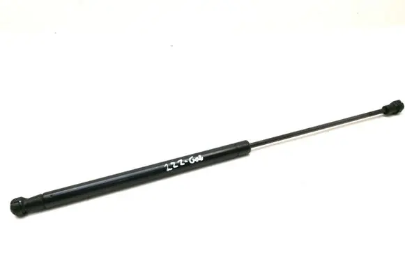 Tailgate strut