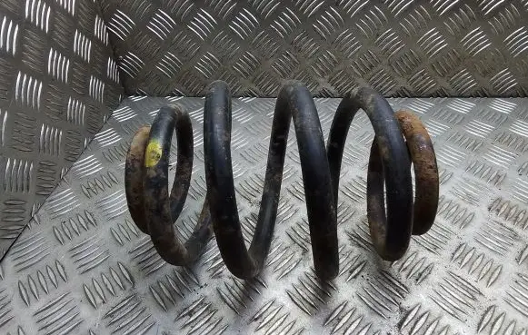 Rear coil spring