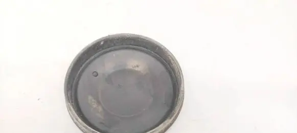Headlight/headlamp dust cover