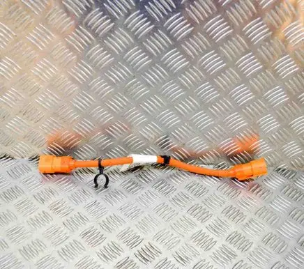 Other wiring loom