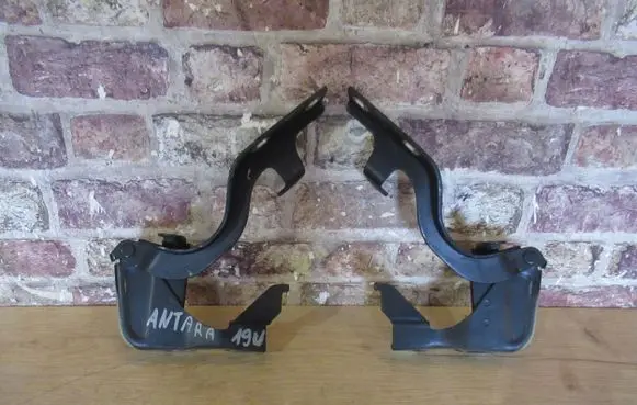 Opel Antara Engine bonnet/hood hinges