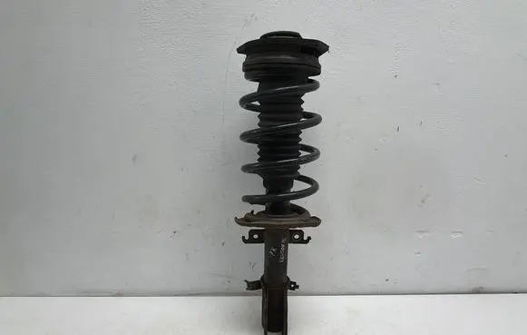 Renault Kangoo II Front shock absorber/damper 