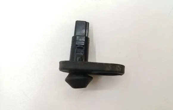 Toyota RAV 4 (XA20) Rear door sensor 