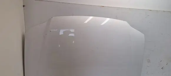 Engine bonnet/hood