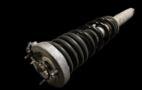 BMW M5 Rear shock absorber with coil spring 7856901 82400014805