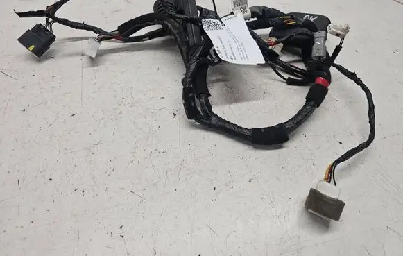 Hyundai Sonata Front door wiring loom 916004R090
